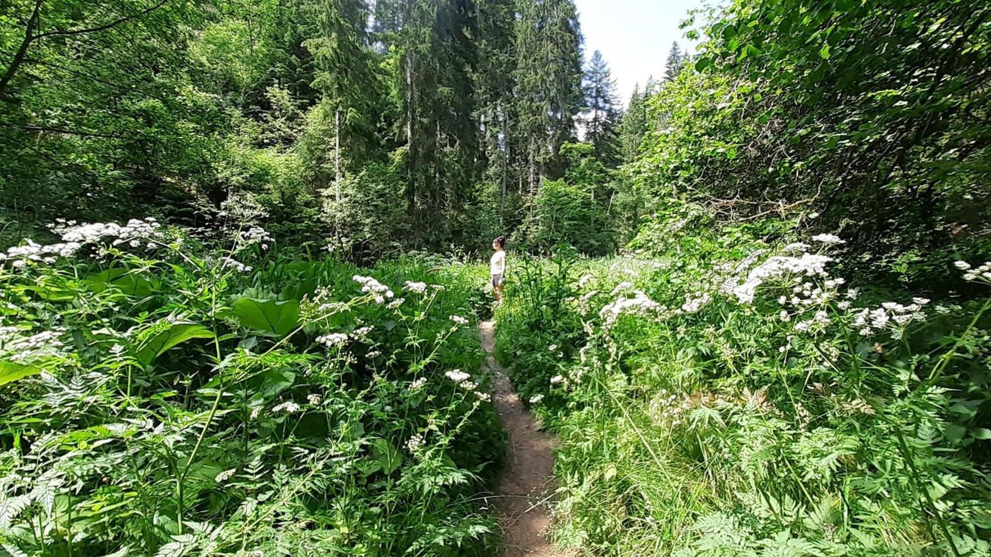 Landhaus Alpenpanorama レーッフィンゲン エクステリア 写真