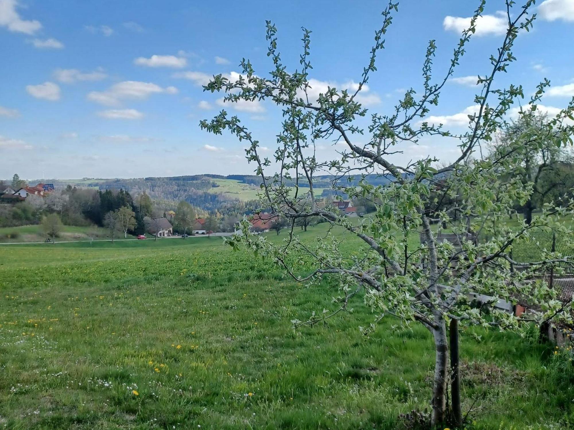 Landhaus Alpenpanorama レーッフィンゲン エクステリア 写真